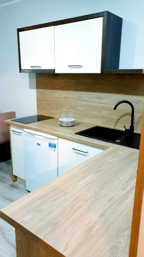 Best Choice 2-Bedroom Apartment Plock Exterior photo