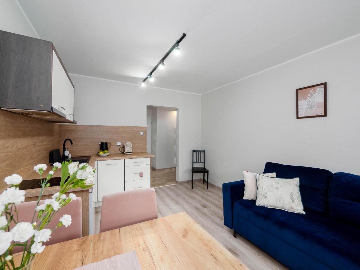 Best Choice 2-Bedroom Apartment Plock Exterior photo